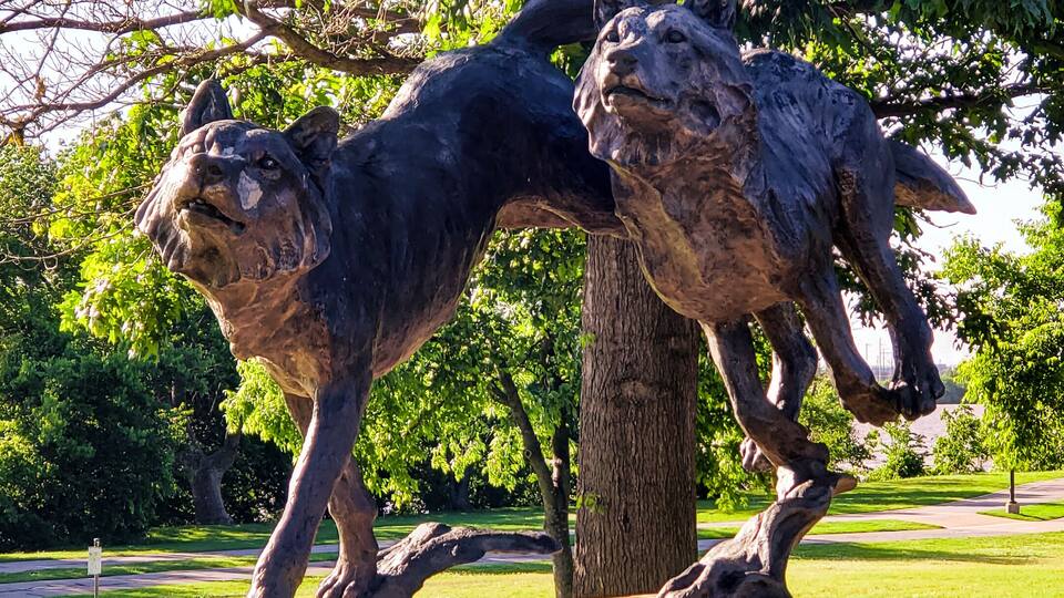 These dogs reminded me of Balto the sled dog. The trail is full of animal sculptures like this one.