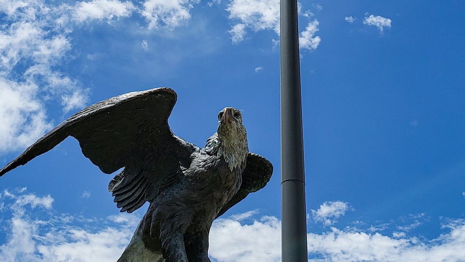I feel this pic very american, this is part of the animal sculptures of the river parks trail close to the "bear fountain'
