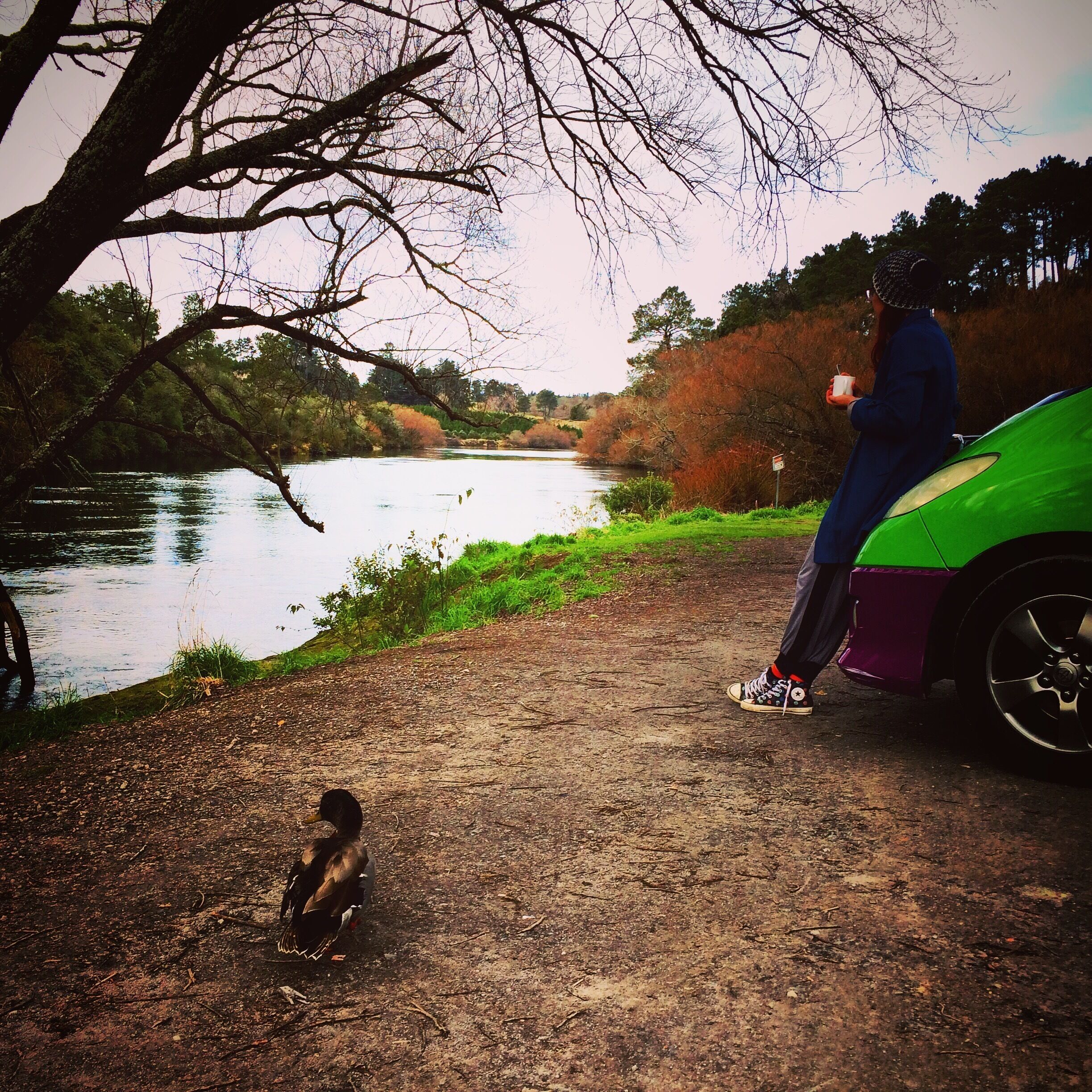 If you are somewhere around Lake Taupo and you are looking for a camp, come here at the Reids Farm. Waking up just one step from the river is really nice way to start a day. 

#weekendgetaway