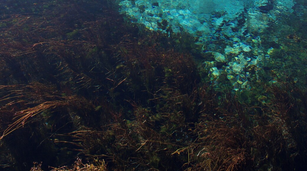 The crystal clear lakewater of Taupo. #LifeAtExpediaGroup
