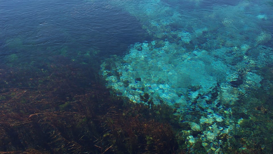 The crystal clear lakewater of Taupo. #LifeAtExpediaGroup