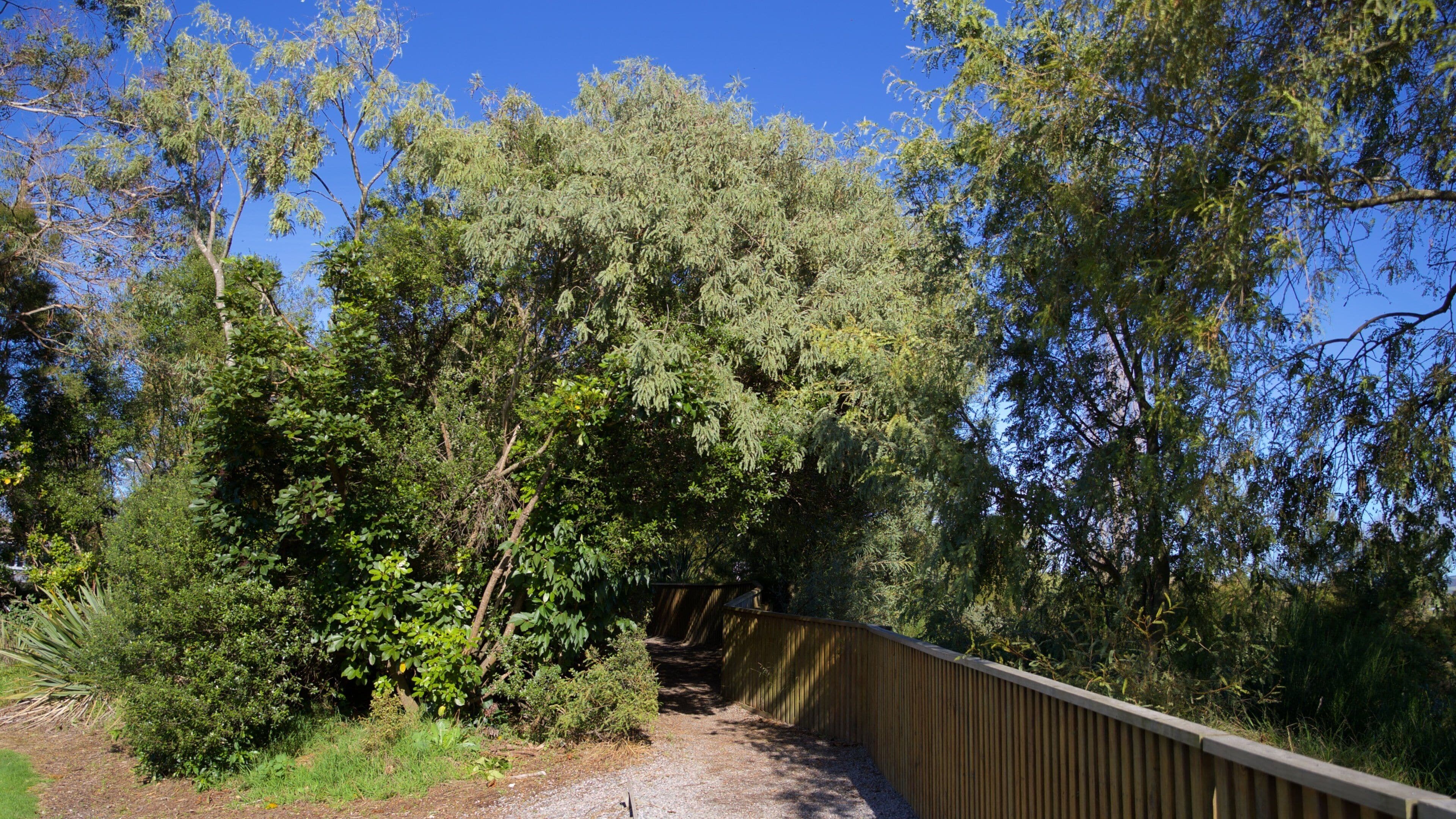 Taupo Bungy which includes a park