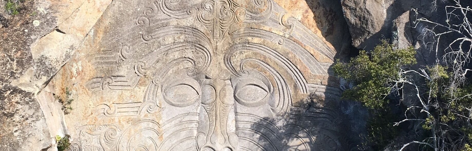 Some may have seen this in photos before, but no photo does it justice; or shows you the awesomeness quite like when you are standing directly on the side of the boat and within metres of this brilliant carving.
I took a small boat that served treats, pizza and wine. Although travelling alone I was able to meet people on this trip very easily. I went on the Ernest Kemp Steamboat. Such character and lovely staff.