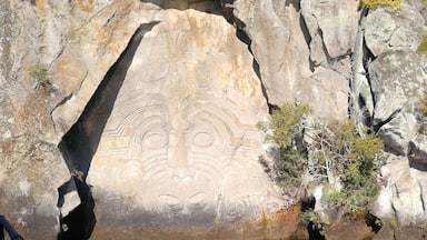 Maori Rock Carvings