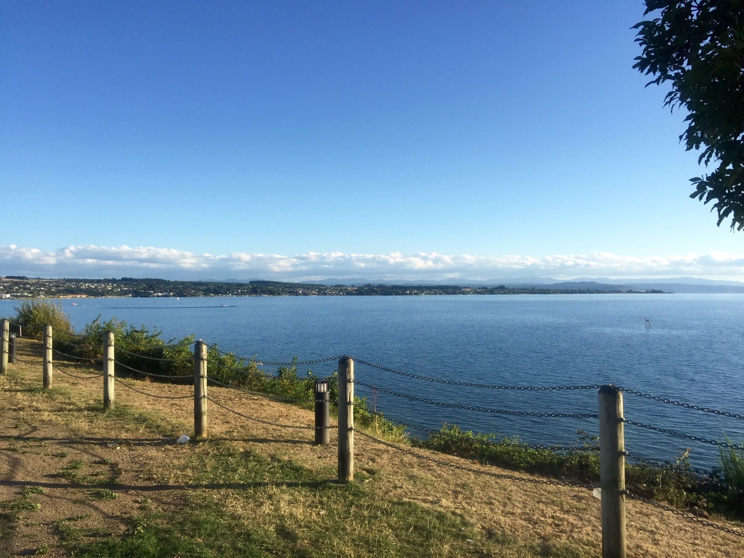 A view of the beautiful Lake Taupo from the main part of town
#blue