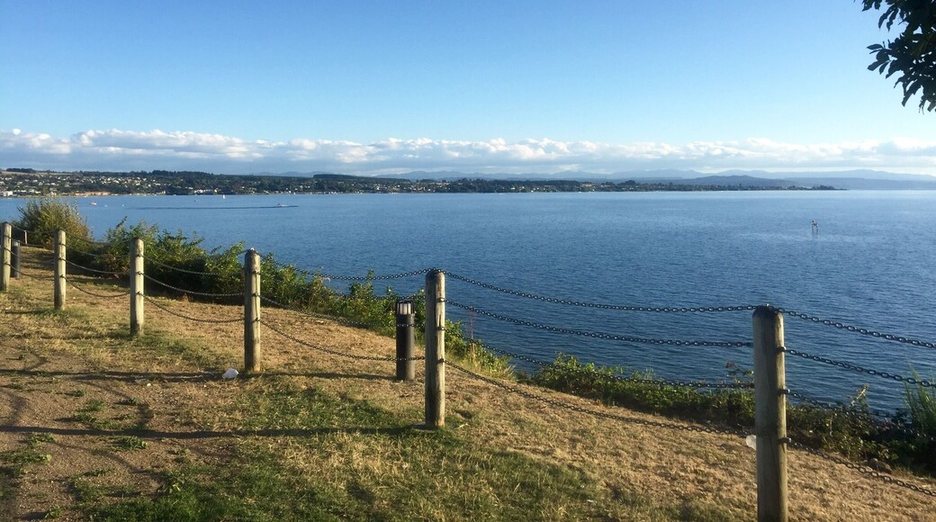 A view of the beautiful Lake Taupo from the main part of town
#blue