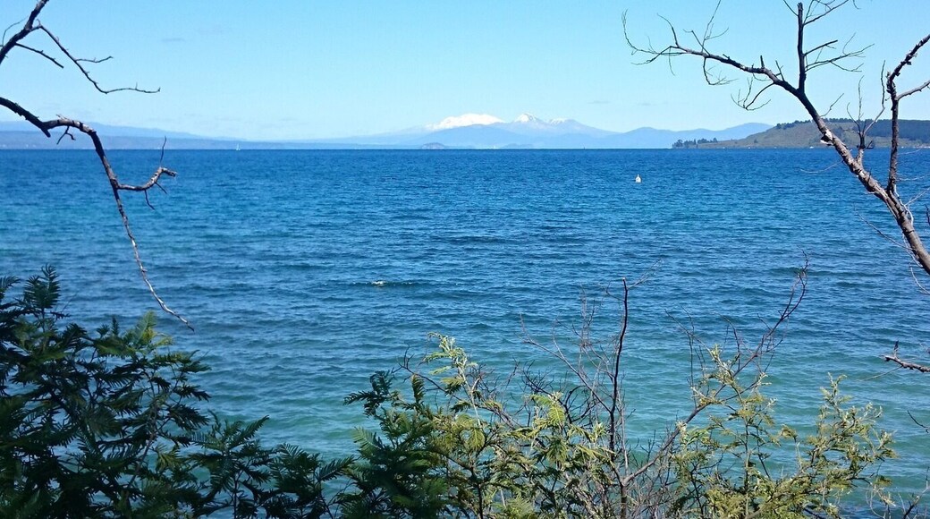 Looking out across Lake Taupo at the Central North Island volcanoes, Mount Ruapehu, Mount Ngauruhoe, and Mount Tongariro. The town of Taupo is very nice, with plenty of cheap hostels, around $25-35 per night