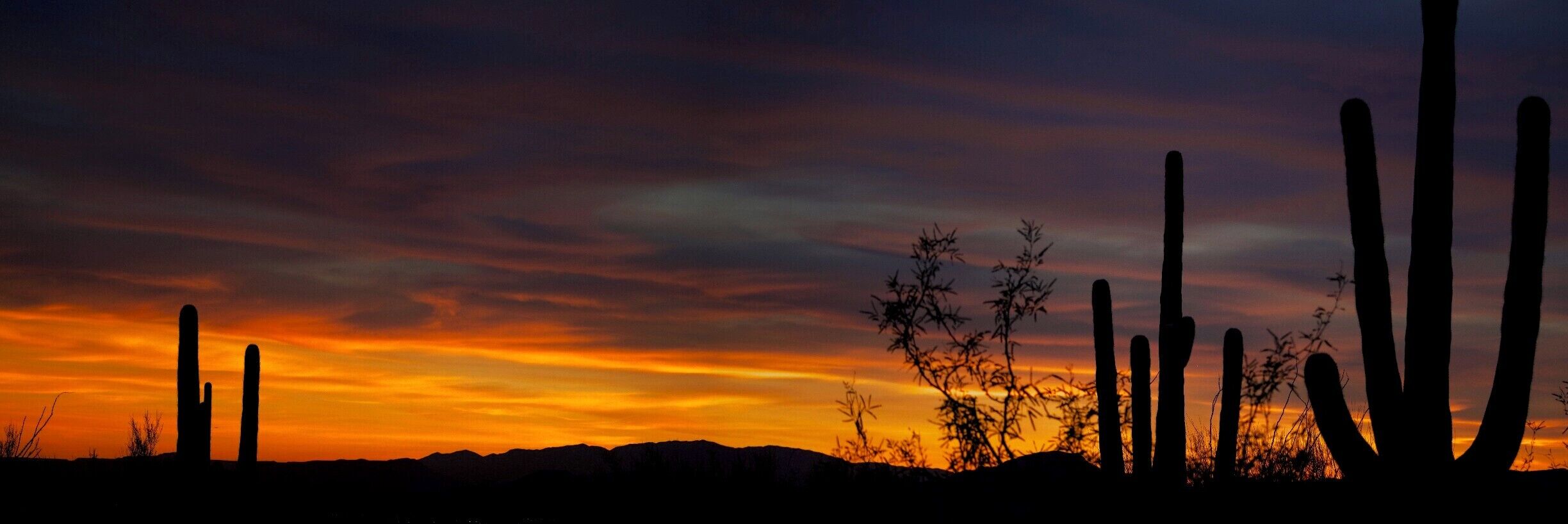 the most amazing sunsets ever!