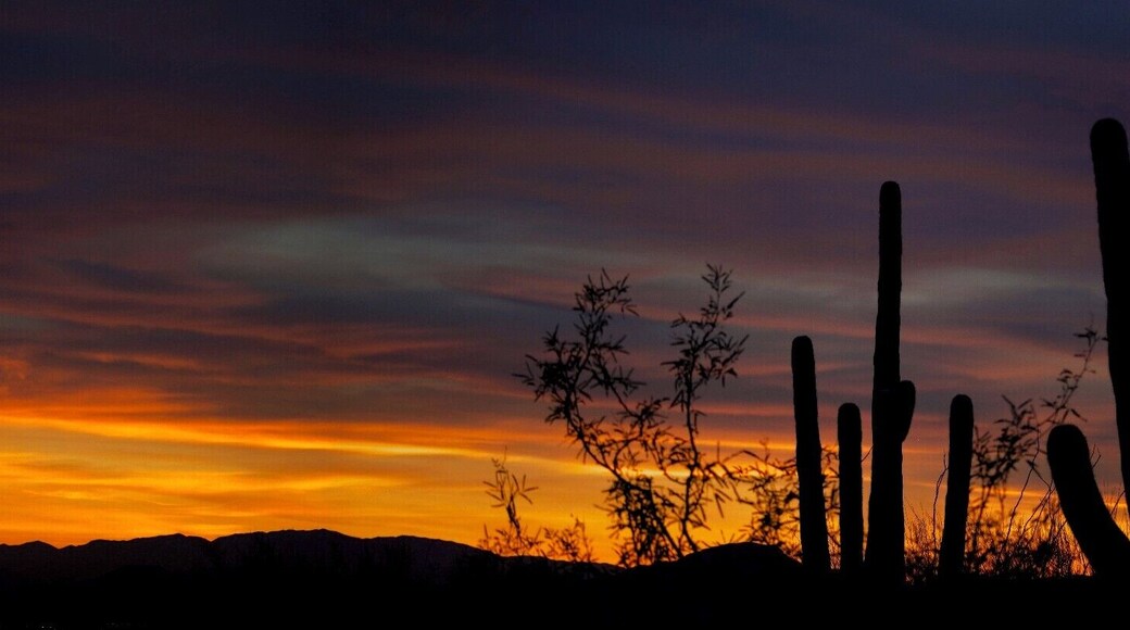 the most amazing sunsets ever!