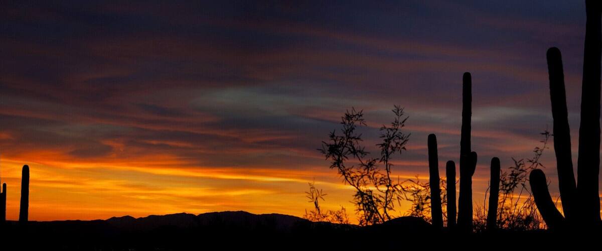 the most amazing sunsets ever!