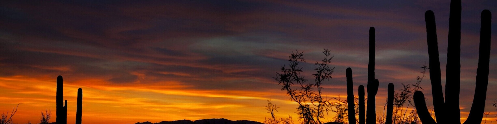 the most amazing sunsets ever!