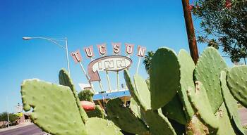 An iconic Tucson view with Prickly Pears in the foreground and the Tucson Inn in the background. The starting point of Neon row. #Green