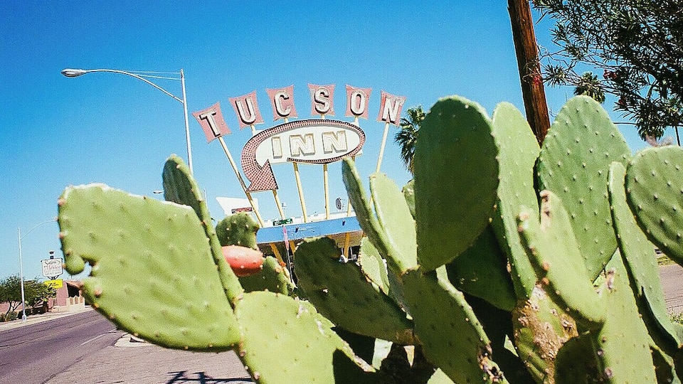 An iconic Tucson view with Prickly Pears in the foreground and the Tucson Inn in the background. The starting point of Neon row. #Green
