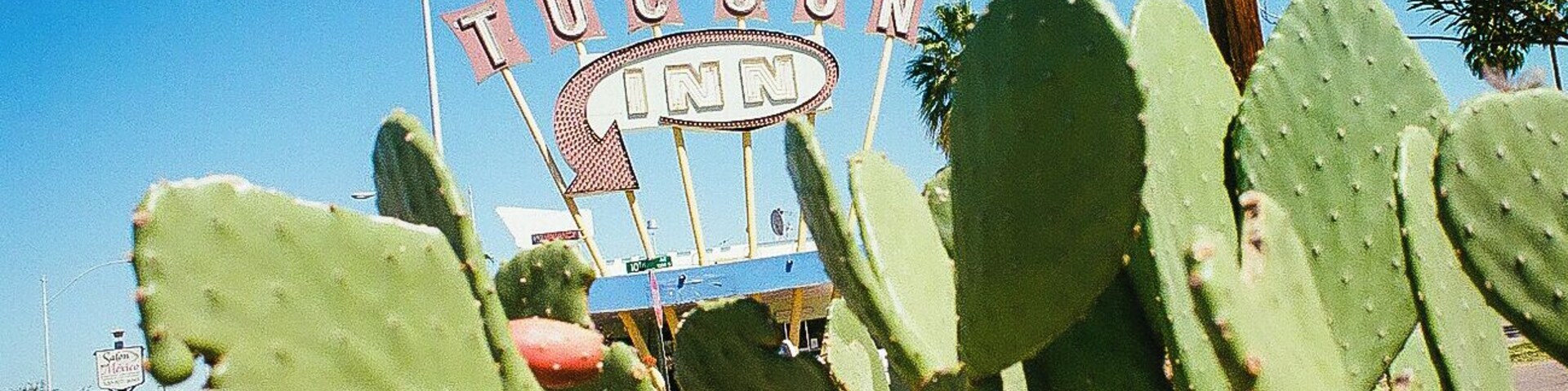 An iconic Tucson view with Prickly Pears in the foreground and the Tucson Inn in the background. The starting point of Neon row. #Green