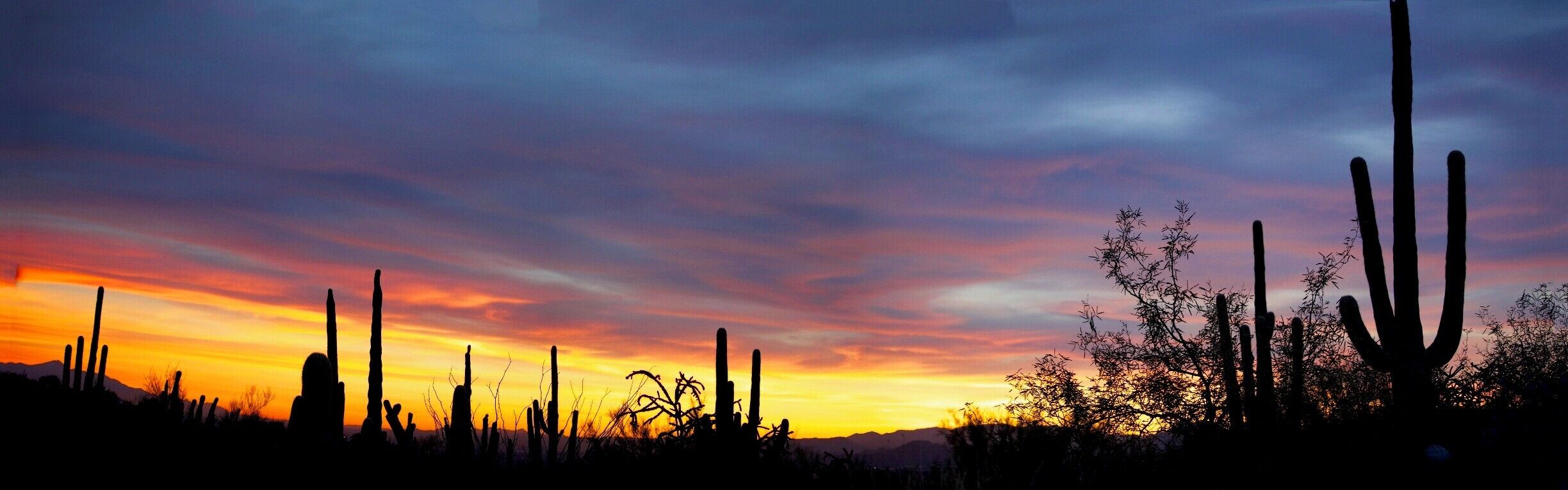 I can't decide... I love both sunsets!