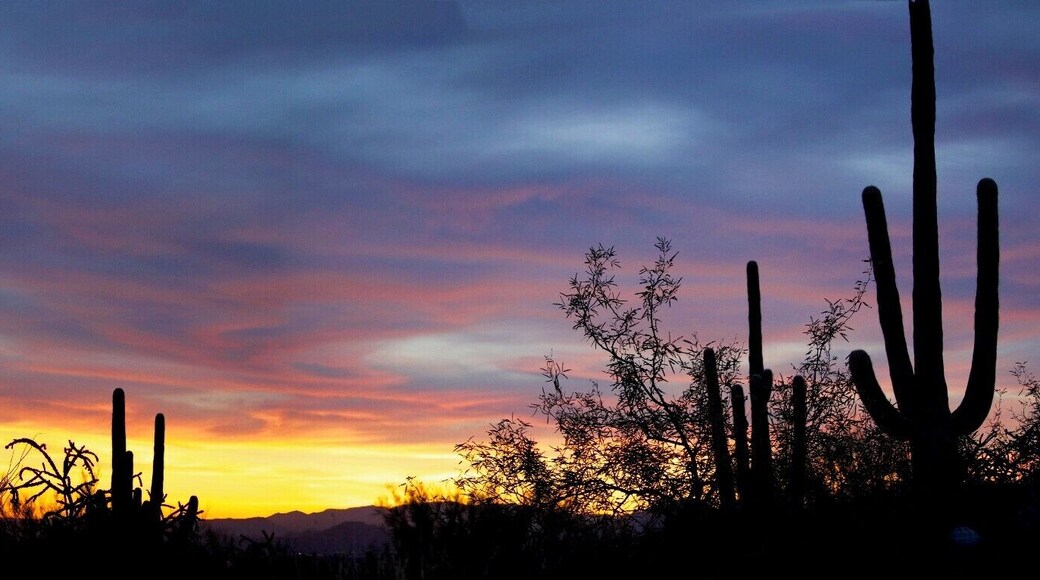 I can't decide... I love both sunsets!