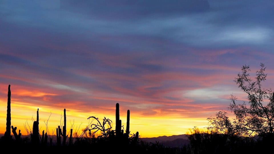 I can't decide... I love both sunsets!