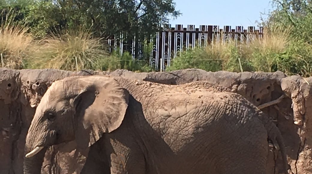 The Tucson Zoo is a great Zoo even though it is relatively small