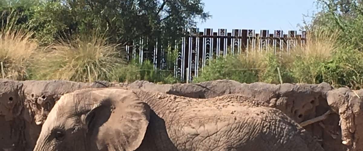 The Tucson Zoo is a great Zoo even though it is relatively small