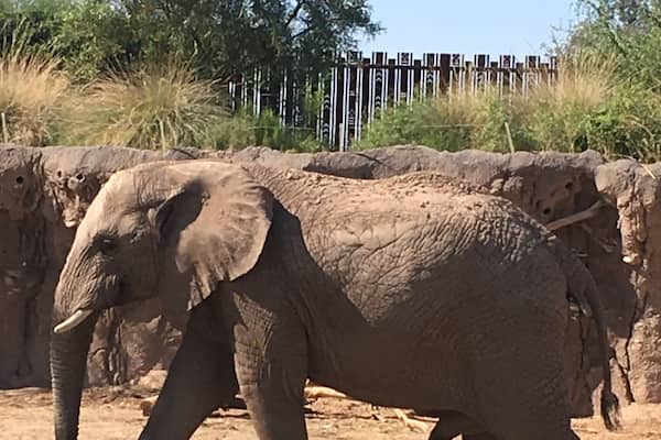 The Tucson Zoo is a great Zoo even though it is relatively small