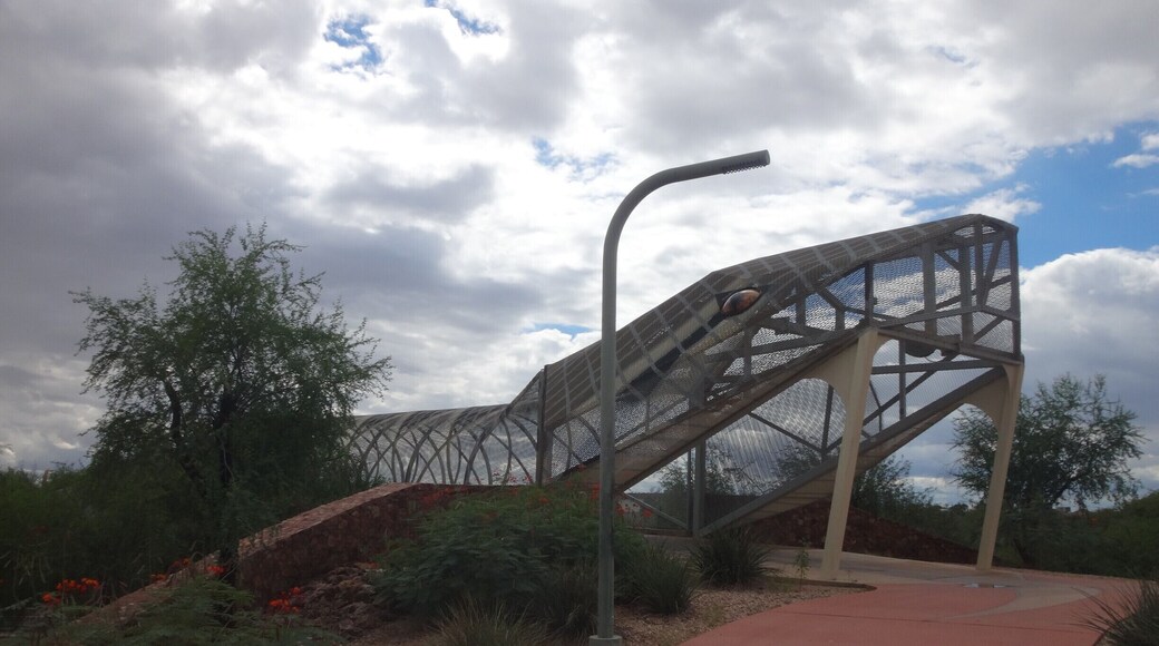 Unique pedestrian bridge. It continues on to the other side of the road, where its rattle rises up out of the sidewalk.