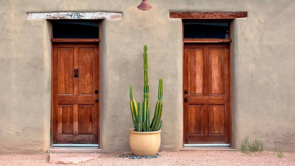 A building with two wooden doors and a large cactus in a pot.