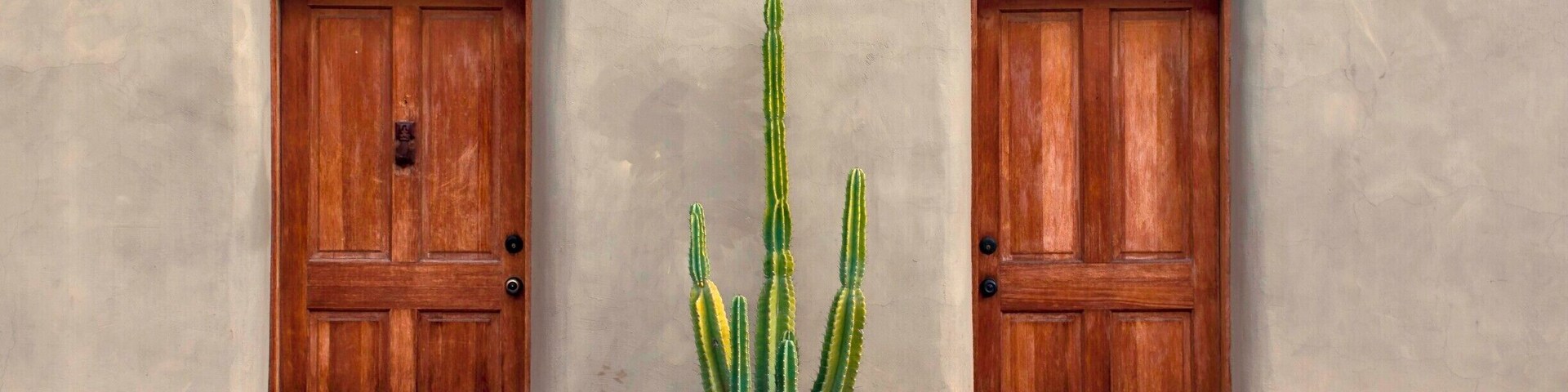 The Barrio Viejo (or Barrio Historico) in Tucson, just south of downtown. The fabric of the neighborhood has retained some of its 19th century character, with thick adobe walls and colorful doors. Some buildings are derelict--some seemed intentionally so--and many others have been renovated, painted, and house artists' studios or lawyers' offices. It's the most fascinating part of Tucson.