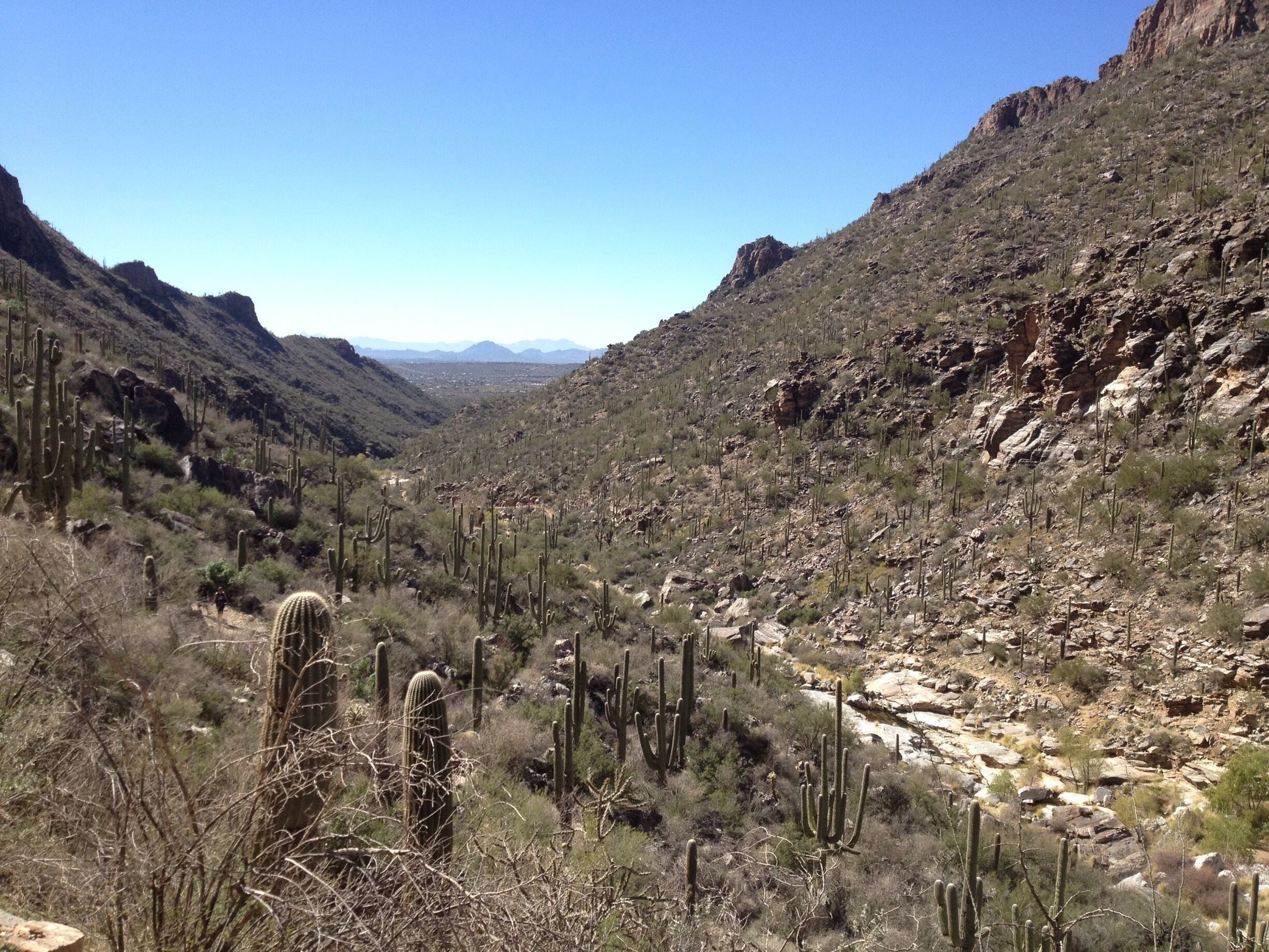 Many hiking opportunities outside Tucson, hiking to the seven falls here. About a two hour hike. Refill your water bottle in the falls themselves. Crystal clear! It is part of the Bear Canyon Trails in the Santa Catalina mountain range. You can take a bus until the pavement ends then begin the hike. 