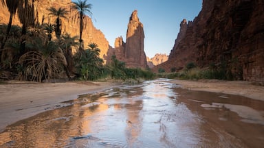 A river flowing through a canyon with palm trees and a tall rock formation.
