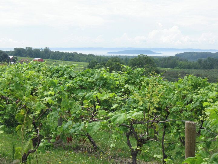 The view from one of the many wineries on Old Mission Peninsula. 