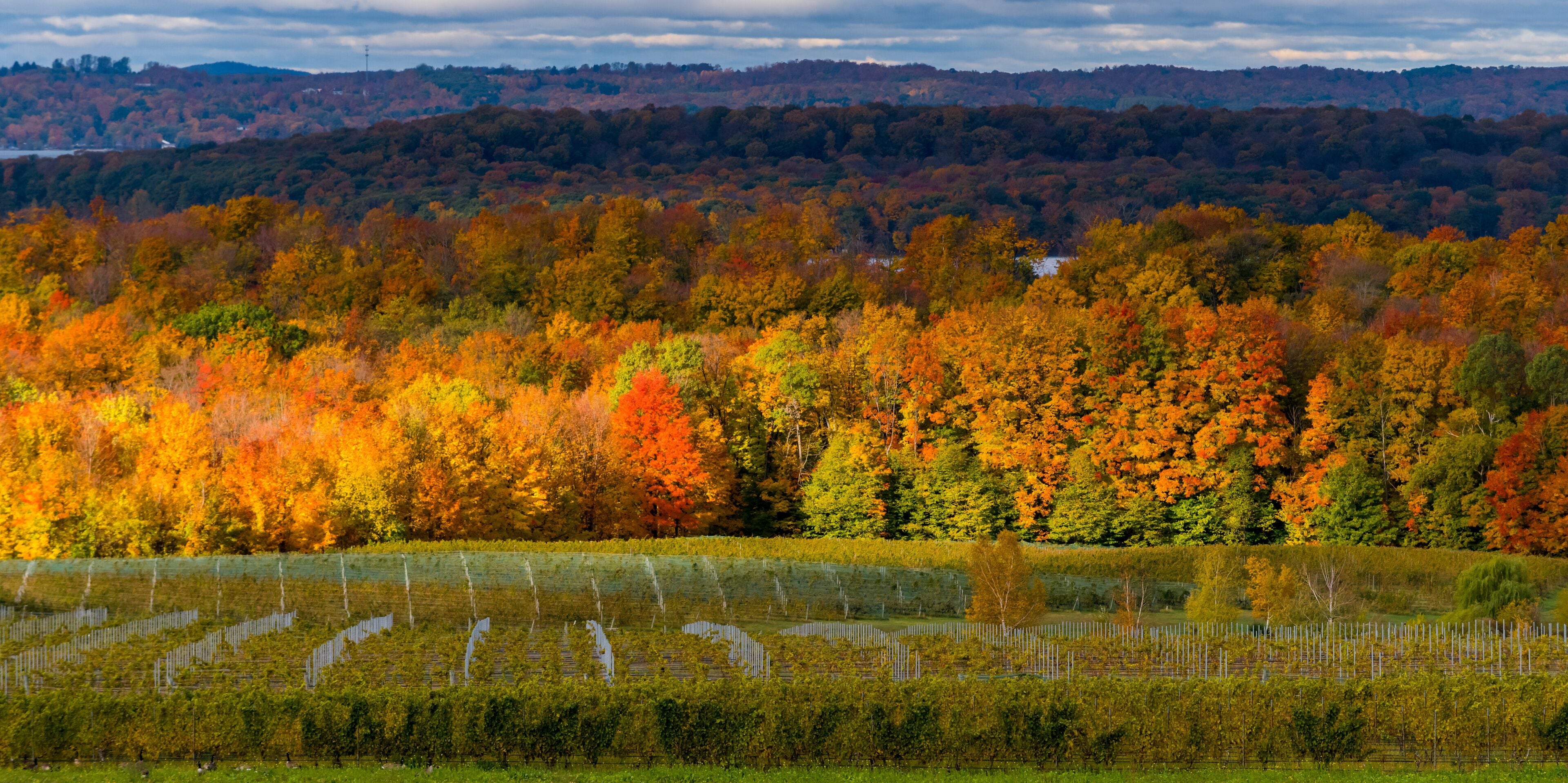 West Arm of Grand Traverse Bay from high overlook of Old Mission Peninsula in the fall.