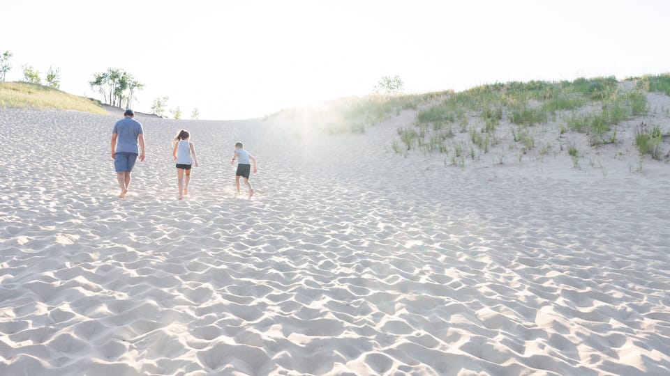 A sandy beach with dunes and sparse vegetation.