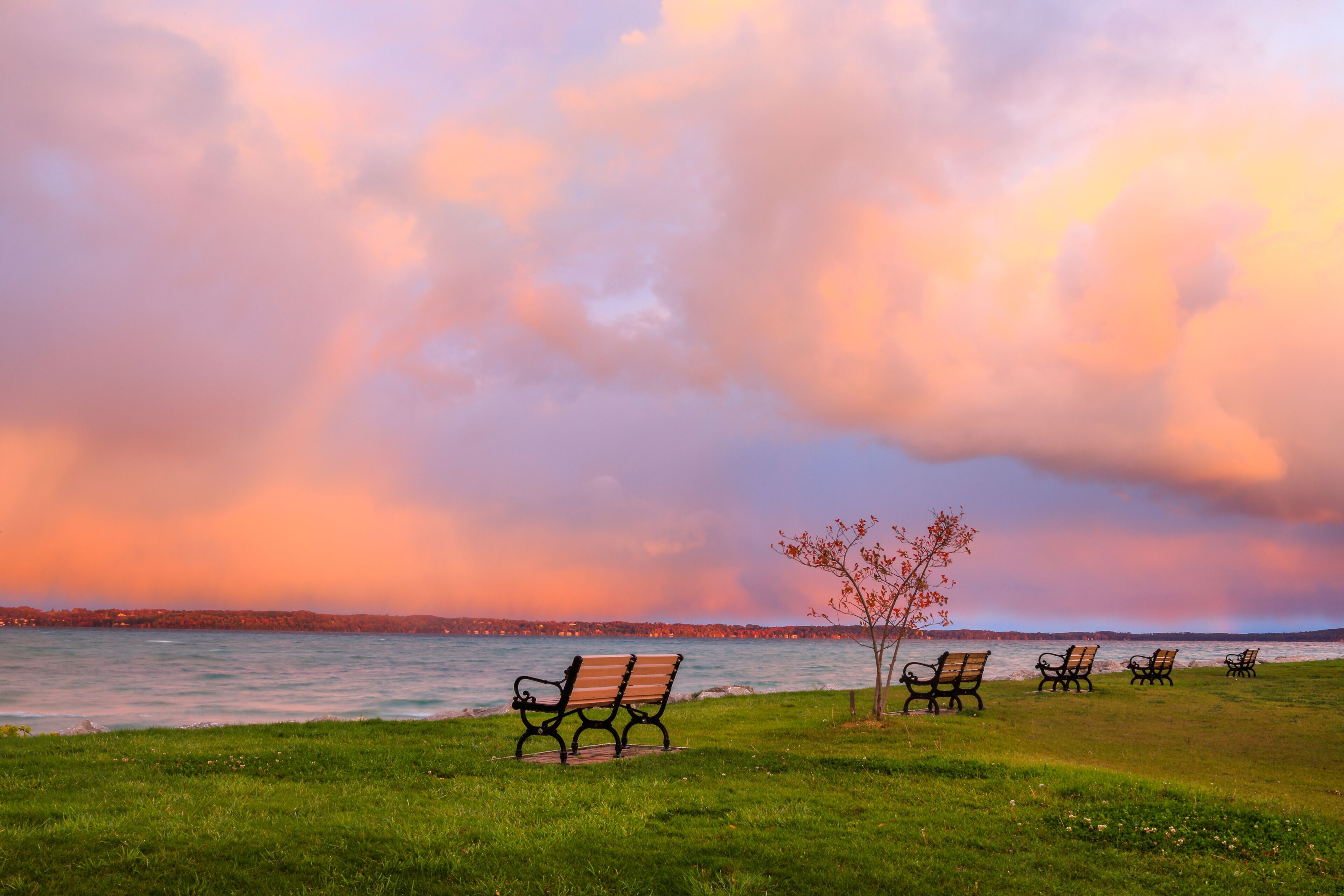 A park with benches and a tree by a body of water under a colorful sky.