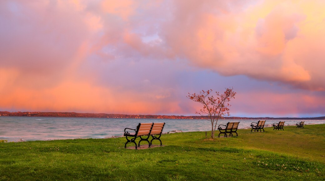 A park with benches and a tree by a body of water under a colorful sky.