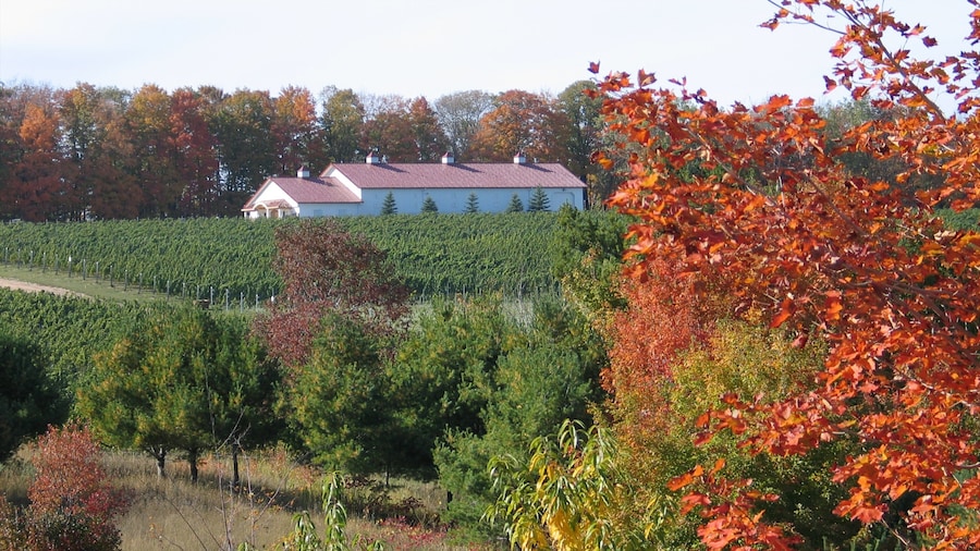 Traverse City
