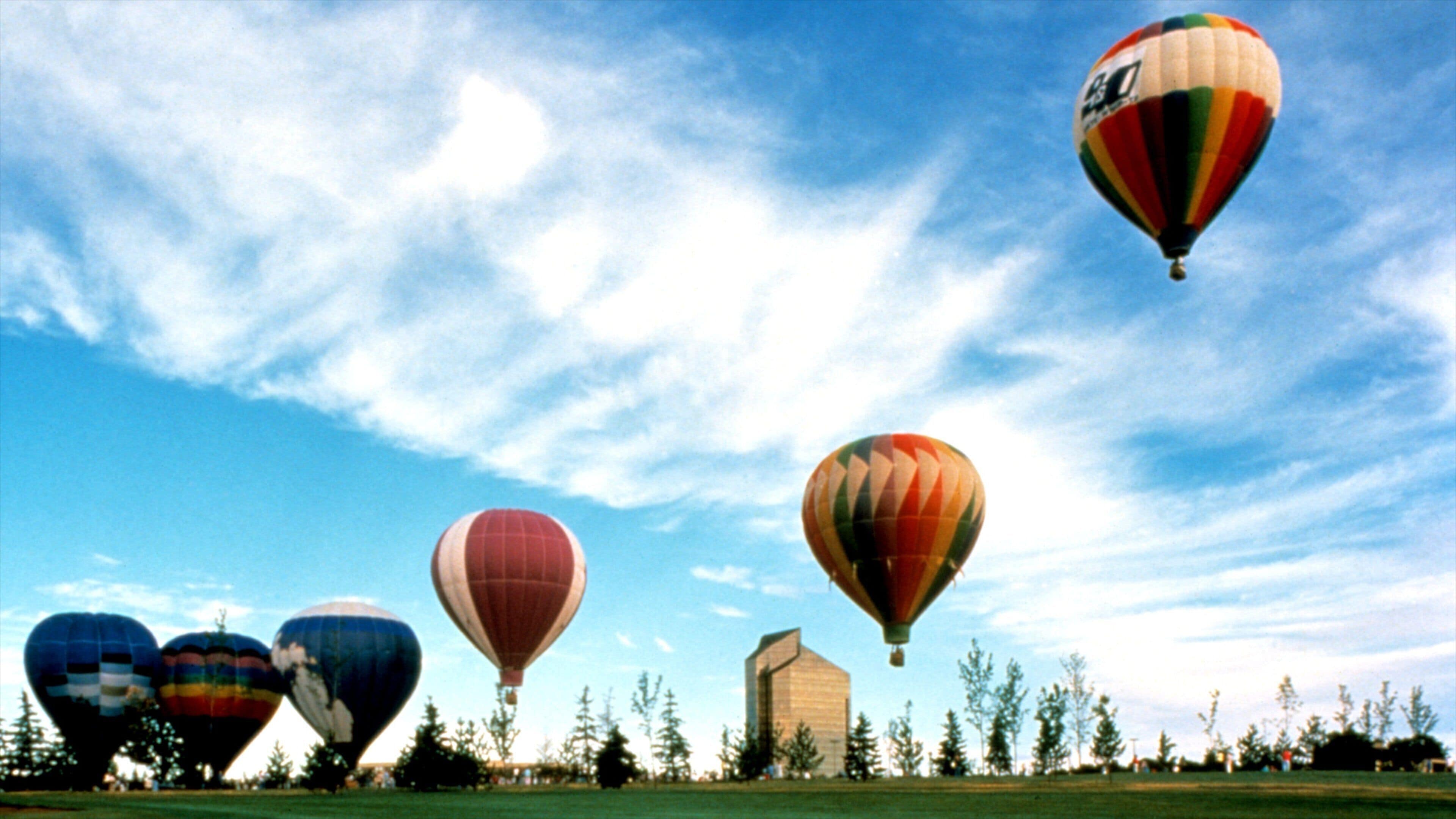 A field of hot air balloons with a clear sky and trees in the background.