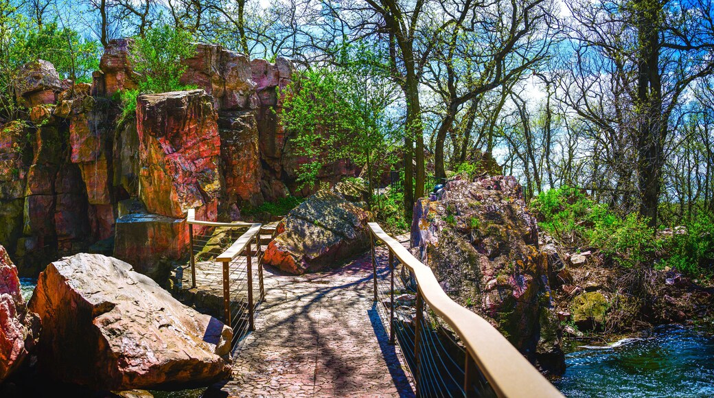 ثيف ريفر فولز