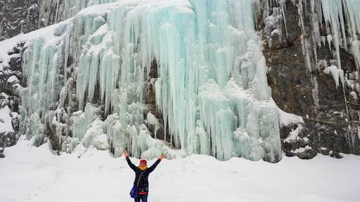 During Norway's winter months, you can find roadside attractions like this frozen "waterfall"! This one was spotted on the road from Alta to Kåfjord.