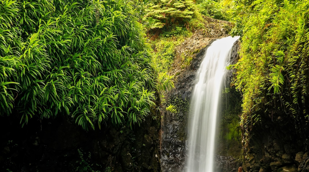 Wainibau Waterfall at the end of Lavena Coastal Walk on Taveuni