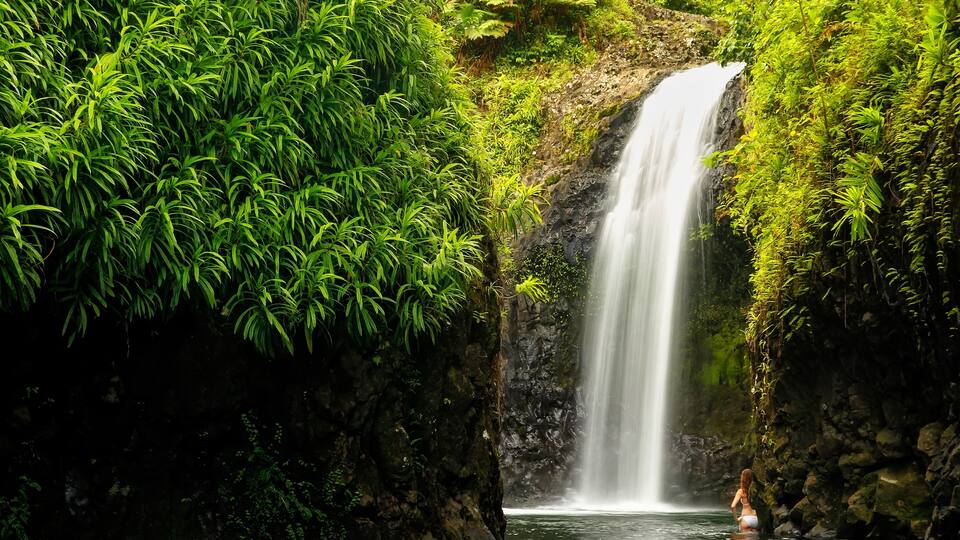 A waterfall surrounded by lush green foliage.