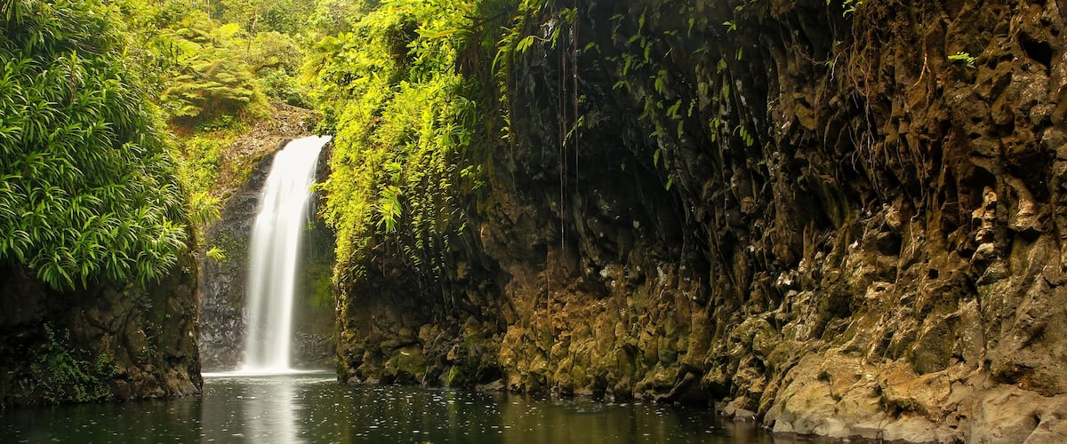 A waterfall cascading into a clear pool surrounded by lush greenery and rocky cliffs.