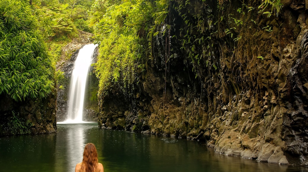 Young woman in bikini standing at Wainibau Waterfall on Taveuni