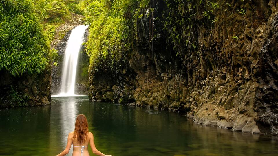 A waterfall in a lush green forest.