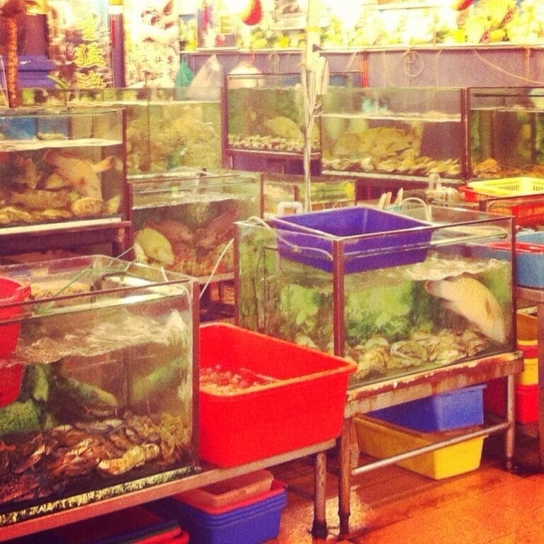 Cheaper live seafood. There's a few restaurants around here. Take your pick. 