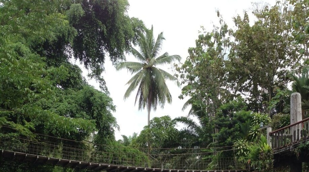 If you have time to spare drop by this resort for a picnic or overnight by the river.
Nothing much besides the river unless you doing some hiking.