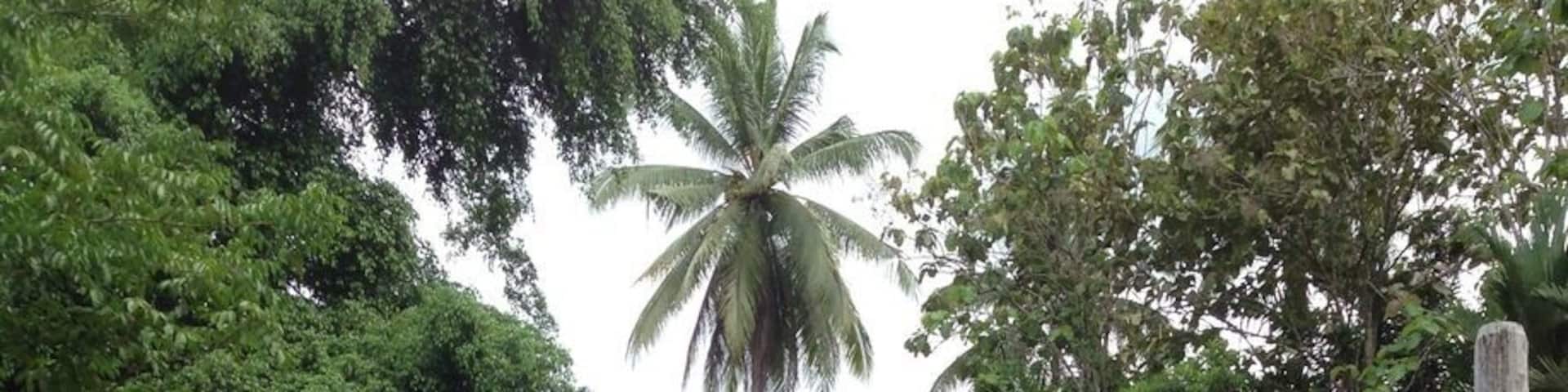 If you have time to spare drop by this resort for a picnic or overnight by the river.
Nothing much besides the river unless you doing some hiking.