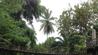 If you have time to spare drop by this resort for a picnic or overnight by the river.
Nothing much besides the river unless you doing some hiking.