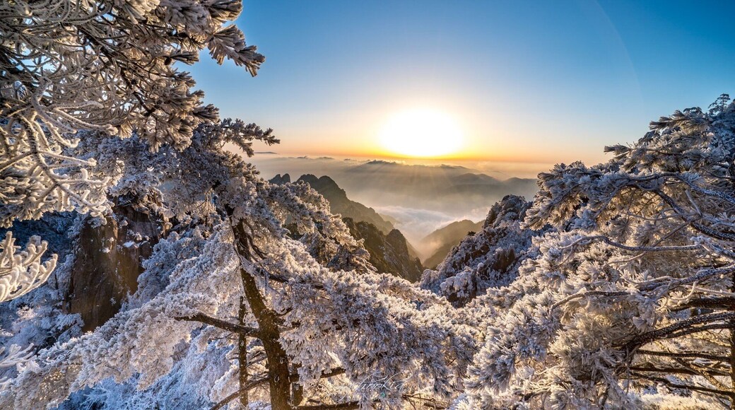 Sunrise Flow 黄山仙境 II Huangshan - China🇨🇳
旭日东升,黄山如同翻开了一幅精美绝伦的画卷,登顶观览堪比人间仙境。