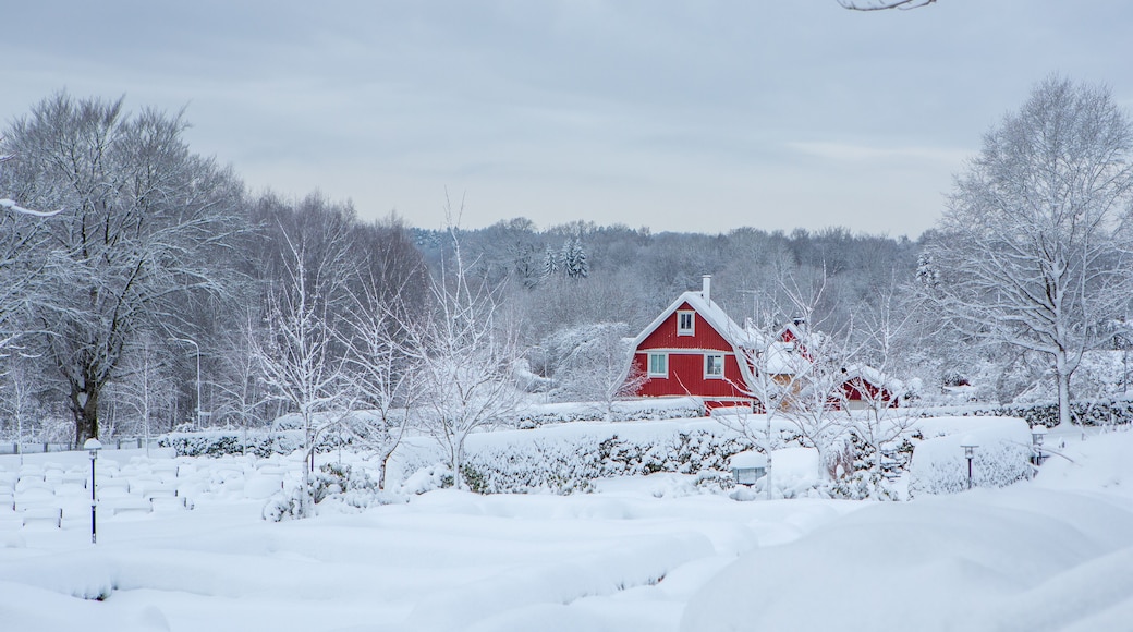 Small red house in Swedish winter landscape