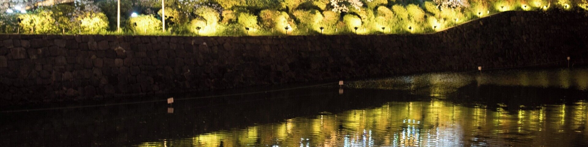 We were rewarded for taking an evening stroll in the Chiyoda District by these scene of reflected kasura blossoms.